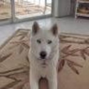 Meet your Posher, Erik